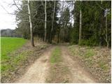 Skaručna - Grmada